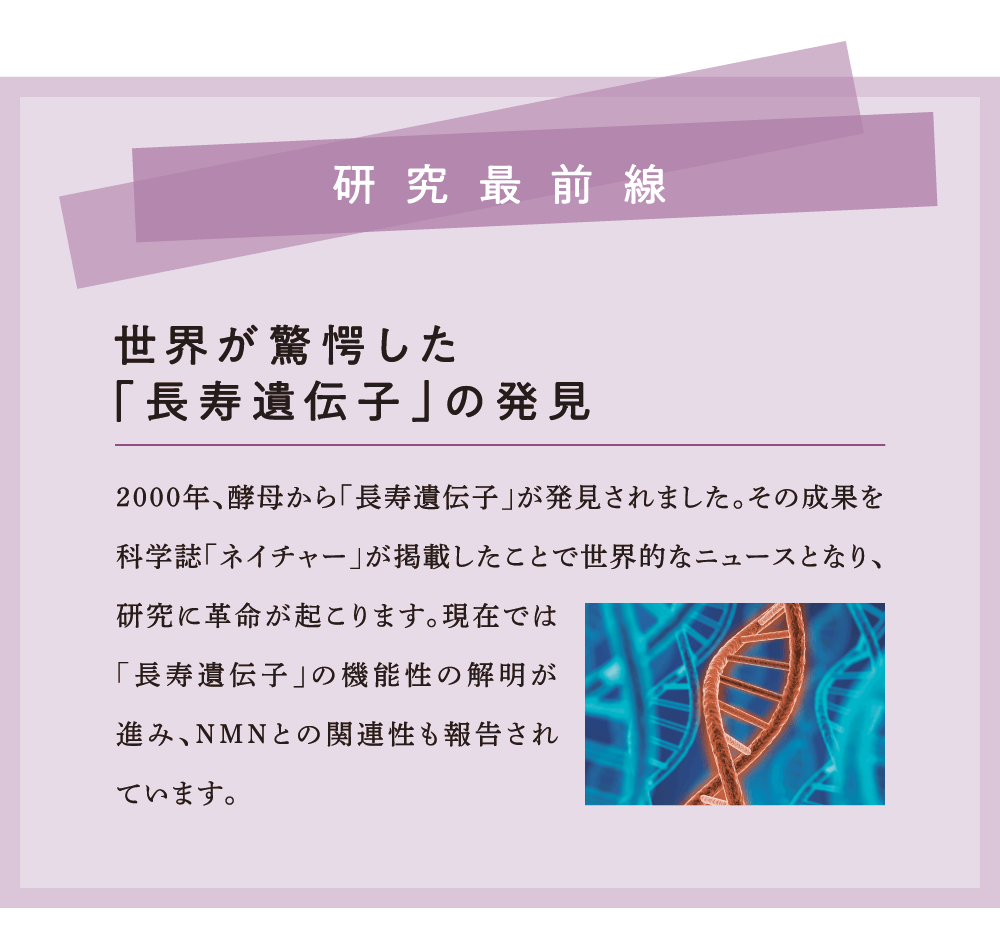 研究最前線 世界が驚愕した「長寿遺伝子」の発見