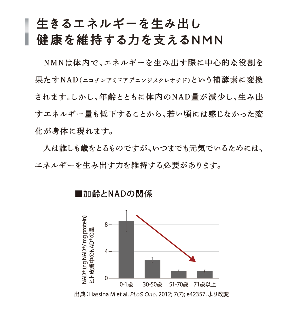 生きるエネルギーを生み出し健康を維持する力を支えるNMN