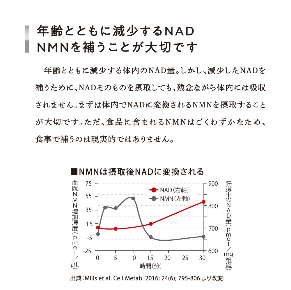 年齢とともに減少するNAD NMNを補うことが大切です