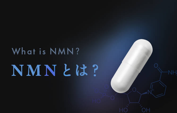 NMNとは？