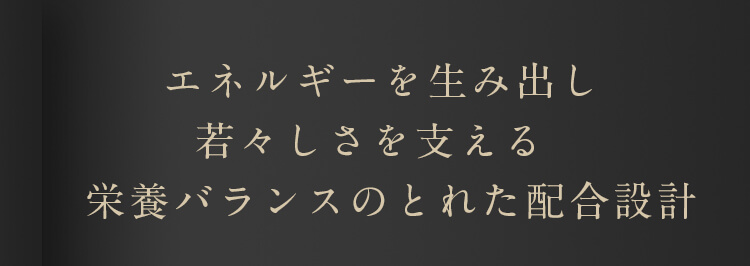 エネルギーを生み出し、若々しさを支える栄養バランスのとれた配合設計