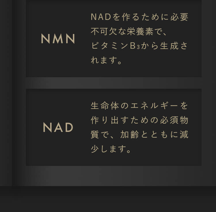 【NMN】NADを作るために必要不可欠な栄養素で、ビタミンB3から生成されます。【NAD】生命体のエネルギーを作り出すための必須物質で、加齢とともに減少します。