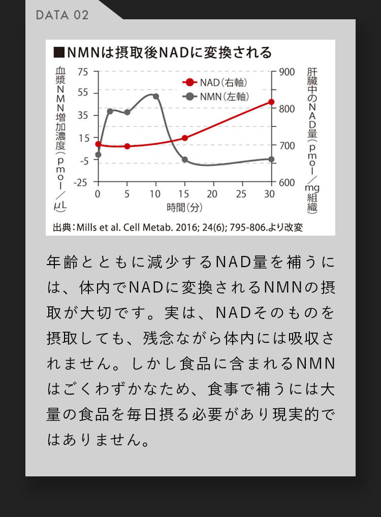 年齢とともに減少するNAD量を補うには、体内でNADに変換されるNMNの摂取が大切です。実は、NADそのものを摂取しても、残念ながら体内には吸収されません。しかし食品に含まれるNMNはごくわずかなため、食事で補うには大量の食品を毎日摂る必要があり現実的ではありません。