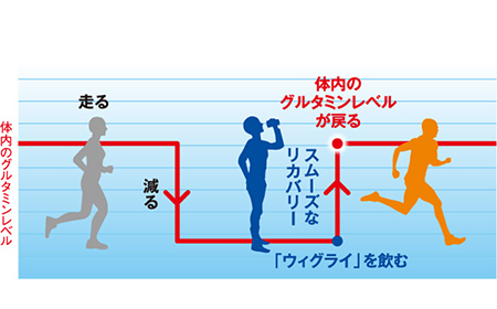 体内のグルタミンレベル